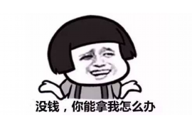 丹凤专业要账公司